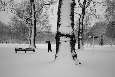 Kensington Gardens snow