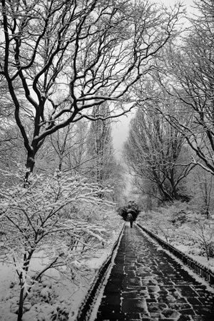 Holland Park snow