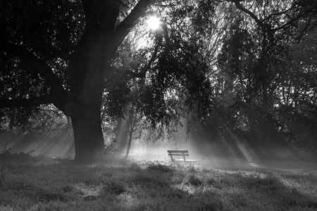 Putney Common misty sun rays