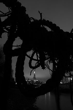 Thames view of the Shard, Bermondsey