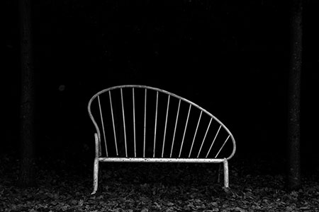 Battersea Park bench