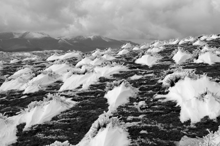 Stybarrow Dodd, Cumbria