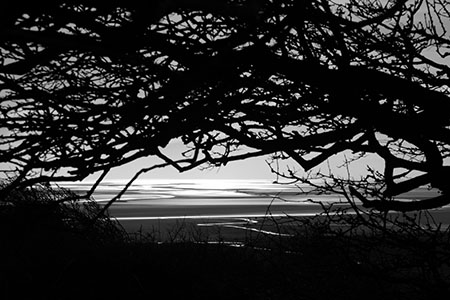 Morecambe Bay, Cumbria