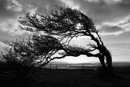 Humphrey Head, Cumbria