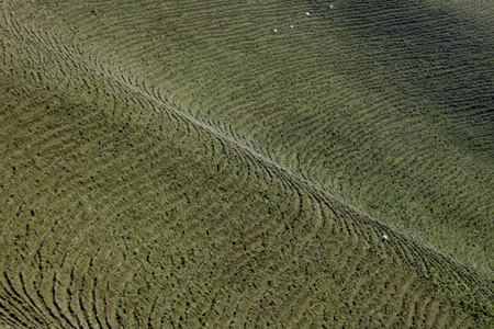 Eggardon Hill, Dorset