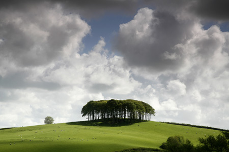 Lower Cookworthy, Devon