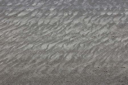 Saunton Sands, Devon