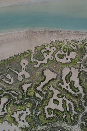 Tollesbury Marshes, Essex