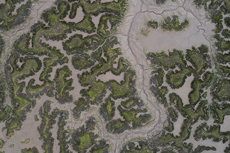 Tollesbury Marshes, Essex