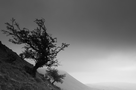 Cat's Back, Black Mountains, Herefordshire