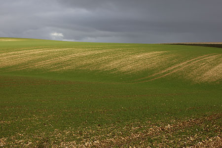 Lincolnshire Wolds