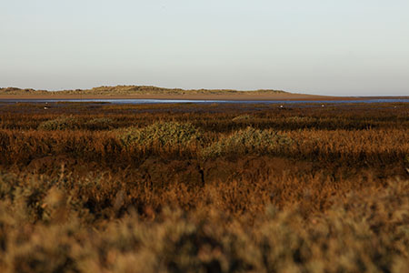 Thorham salt marshes, Norfolk