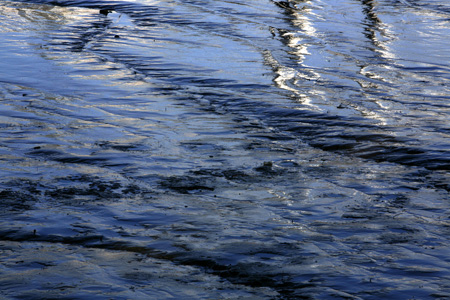 Thames mud Wandsworth