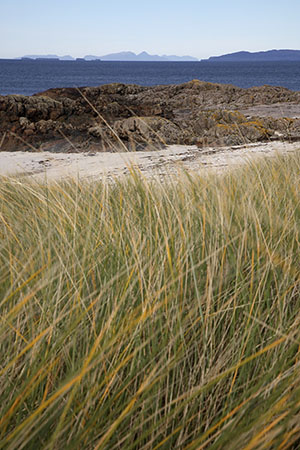 Rum from Iona, Inner Hebrides