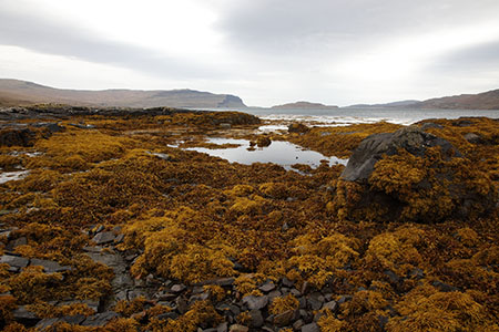 Loch na Keal, Mull