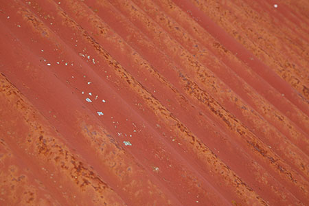 Flow Country rusty shed, Scotland