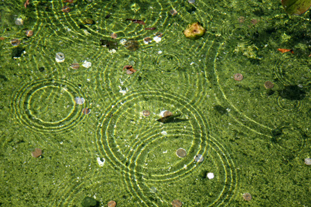 Brockwell Park fountain