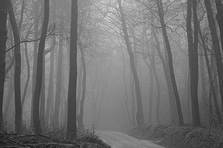 Leith Hill, Surrey Hills