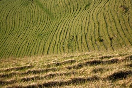 Bratton Down, Wiltshire