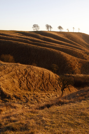 Oliver's Castle, Wiltshire