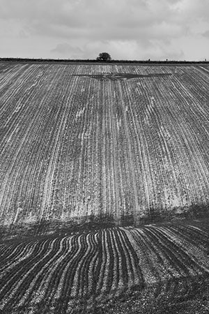 Charnage Down, Wiltshire