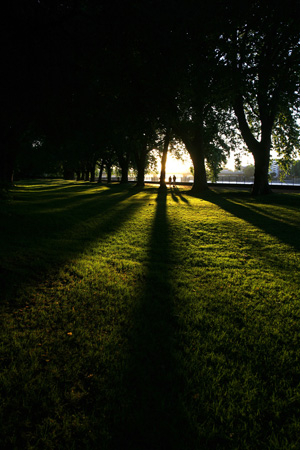 Wandsworth Park