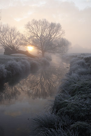 Beverley Brook, Richmond Park