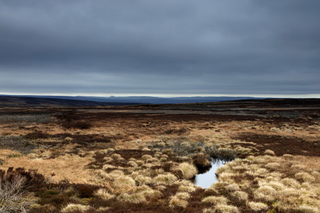 Danby High Moor, North York Moors